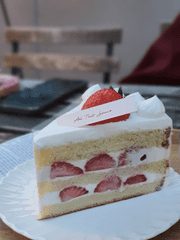 뚜벅이 혼행 이야기