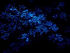 [대만준호] 권준호의 일탈 Sample