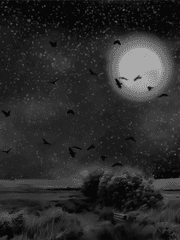 네 번째 사랑의 장송곡