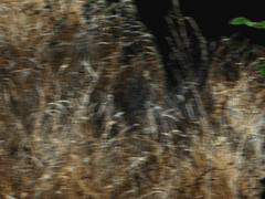 그 소년은 동풍과 함께 나타났고