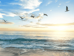 [원신/소남행] 구원 (11) - 완결