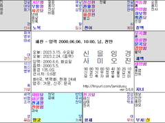 해찬 사주 및 자미두수