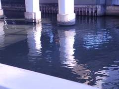 D+21 노트가 불러온 파동..