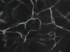 식물인간 송준섭