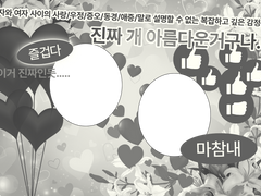 백합 페어틀 배포