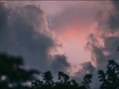 [태랑승기]12월의 여름