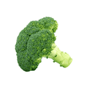첫사랑브로콜리
