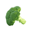 첫사랑브로콜리