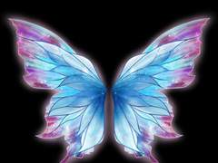 저장을위하여24편