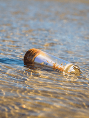 부치지 못한 편지