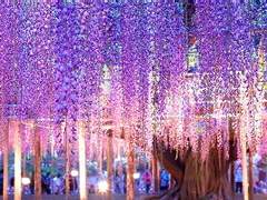 [정환수겸] 신의 뜻대로