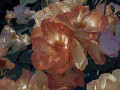 첫만남. “우리, 도망가요!“