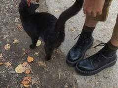 버키 반즈 천사님을 모십니다 (모셨습니다!)