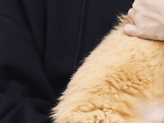 나를 길러주세요 8~11(完)