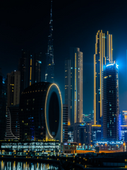 [롭톰] 최종관찰 팬픽