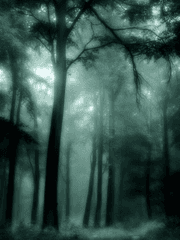 사실, 아직도 [단편]