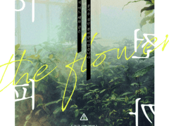 [inSANe] 꽃이 피기 전까지