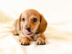 생명을 반환하다.