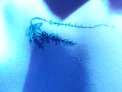 그녀의 꿈속으로 / 9화