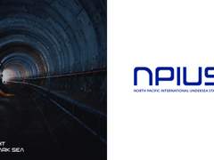 NPIUS 커스텀 타입 로고