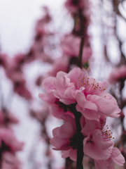 2차 :: 화산귀환