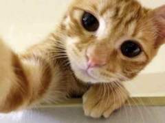 다시 태어난다면? 09