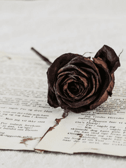 [연재중단] 에스더의 기묘한 여행