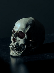 소년은 잡아먹는다