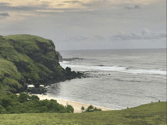 다정함을 보내주세요