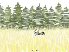 노오란 들판에서