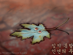 잊지 못할, 인연의 푸르름