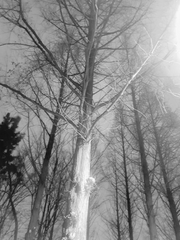 너는 나의 시간을 닮았어