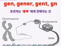 gen, gener, gent, gn