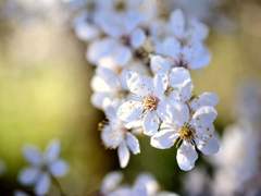 Nathan River | XY | 슬리데린