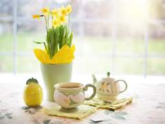 (닌자고)꿈의 차