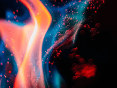 초대받지 않은손님