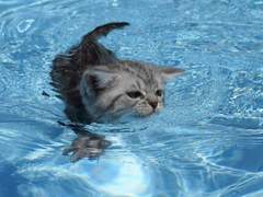 제목을 입력하세요오