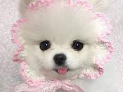 일주일 단식 단기간 다이어트 후기… (+몇 가지 팁)