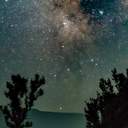 머리빗는 호떡 Hotteok