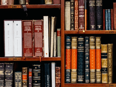 영어 모고 수능 100점 맞는 사람의 영어 공부법