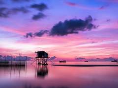 [정환대협] 몽중인(夢中人) 02