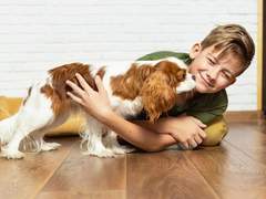 Caring for Your Pet in Dubai: Dog Kennels, Mobile Grooming, and 24-Hour Vets