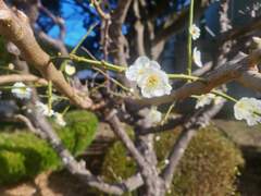 비어있는, 비가 오는, 하루.