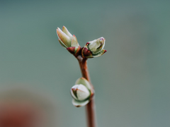 모든 요리는 두 사람 기준입니다 #8