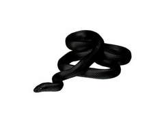 SPRING : 영원은 없으니까 00