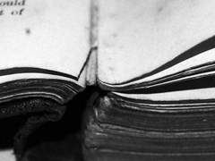 𝄞 태평한 그 녀석 𝄞