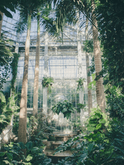 GREENHOUSE EFFECT (뜰팁)