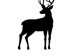 Antlers