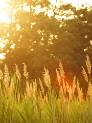 [태섭른/태웅백호ts]우리들의 여름