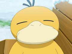 촬영에 관한 안내